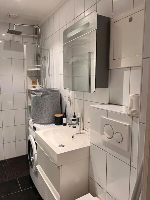 Royal Neighbourhood Elegant Flat In Central Осло Экстерьер фото